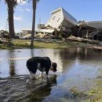 अमेरिका में ‘हेलेन’ तूफान का कहर: 44 लोगों की मौत, फ्लोरिडा में भारी तबाही