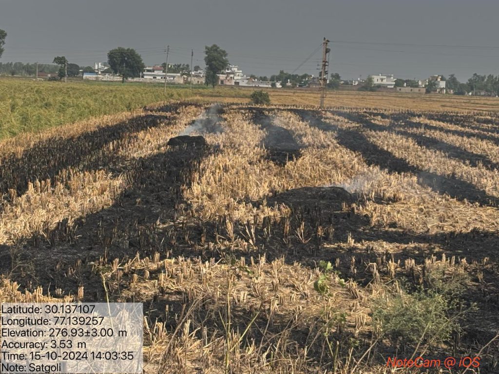 यमुनानगर में पराली जलाने के 21 मामले आए सामने I