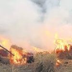 Delhi – पराली जलाने पर रोक न लगा पाने वाले अधिकारियों पर होगी कार्रवाई, वायु गुणवत्ता आयोग का निर्देश