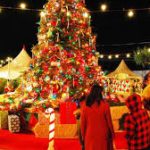 क्रिसमस वेकेशन: भारत के बेस्ट पर्यटन स्थल जहाँ छुट्टियाँ होंगी यादगार