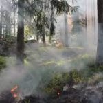 कश्मीर के जंगलों में आग की आशंका: प्रशासन ने जारी किया हाई अलर्ट