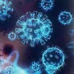 कोरोना वायरस की 2025 में वापसी का दावा झूठा, स्वास्थ्य मंत्रालय ने किया खंडन