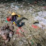 पर्यावरण संरक्षण की दिशा में कदम: प्लास्टिक उपयोग कम करने की नई नीतियों की घोषणा