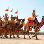 राजस्थान में ऊंट महोत्सव: देश-विदेश से जुटे पर्यटक, सांस्कृतिक धरोहर का रंगारंग उत्सव