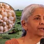 बजट: बिहार को मखाना बोर्ड की सौगात, होगा बड़ा बदलाव