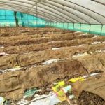 रुद्रप्रयाग जिले की ग्राम पंचायत ग्वाड थापली में कल से ’डेयरी फार्मिंग व वर्मी कंपोस्ट बनाने’ का प्रशिक्षण दिया जाएगा