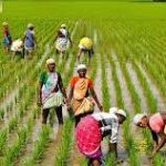 जयपुर : उन्नत कृषि के बदलते स्वरूपों पर तीन दिवसीय राष्ट्रीय सेमिनार