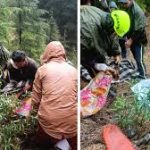 उत्तराखंड : लोखंडी के पास ऑल्टो कार हुई दुर्घटनाग्रस्त, हादसे में दो लोगों की मौत