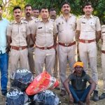 गेहूं की फ़सल बीच बोए गांजे के 885 पौधे जब्त, आरोपी गिरफ्तार