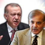 तुर्की में पाकिस्तान के प्रधानमंत्री शहबाज शरीफ की मुलाकात राष्ट्रपति एर्दोगन से: द्विपक्षीय संबंधों को नई ऊंचाइयों तक ले जाने की दिशा में महत्वपूर्ण कदम