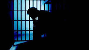 जम्मू–कश्मीर में बड़ी आतंकी साजिश का खुलासा