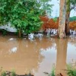 उत्तराखंड: नदी जलस्तर पर अलर्टगंगा किनारे अचानक जलस्तर बढ़ने की आशंका