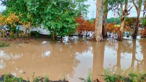 उत्तराखंड: नदी जलस्तर पर अलर्टगंगा किनारे अचानक जलस्तर बढ़ने की आशंका