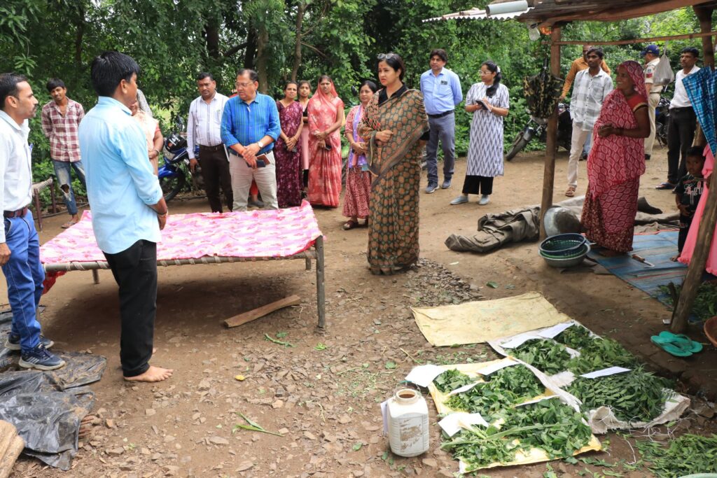 झाबुआ- ग्राम खेड़ी मे कलेक्टर ने प्राकृतिक खेती कर रहे किसान  के खेत का भ्रमण किया