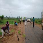 नर्मदापुरम- लोक निर्माण विभाग ने चलाया वृहद पौधारोपण अभियान, रोपे गए 1755 पौधे