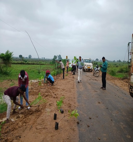 नर्मदापुरम- लोक निर्माण विभाग ने चलाया वृहद पौधारोपण अभियान, रोपे गए 1755 पौधे