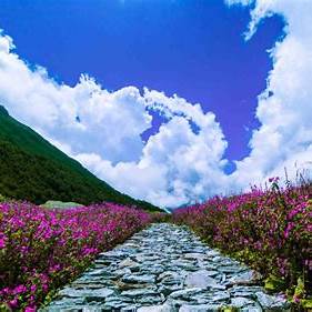 उत्तराखंड की Valley of Flowers खुली – 1 जून 2025 से