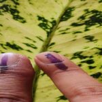 पश्चिम बंगाल में मतदान केंद्र पर लंबी कतार में खड़े मतदाता, जो उच्च मतदान प्रतिशत को दर्शाते हैं।